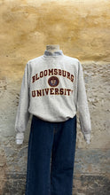 Carica l'immagine nel visualizzatore di Gallery, Felpa Bloomsburg - grigio melange - XXL